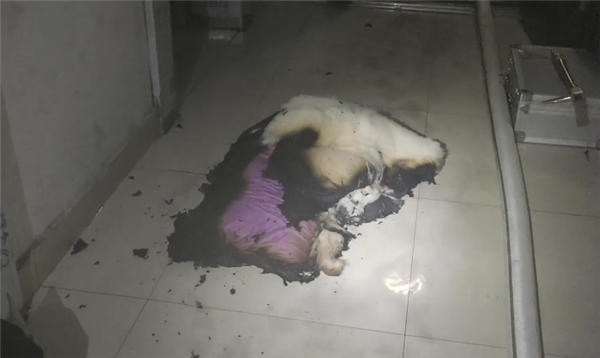 奇趣分分彩:男子新买的手机充电器没拔 回家发现卧室烧了